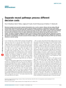Separate neural pathways process different decision costs