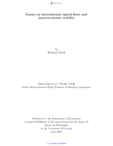Essays on international capital flows and macroeconomic stability