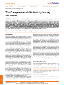 The C. elegans model in toxicity testing
