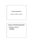 Protein Expression Issues in Protein Expression