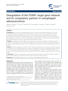 Deregulation of the FOXM1 target gene network and its coregulatory
