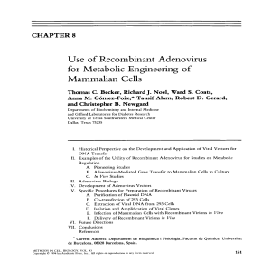 Use of Recombinant Adenovirus for Metabolic Engineering of