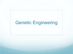Genetic Engineering - Roslyn Public Schools