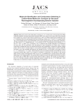 Molecular Rectification and Conductance Switching in