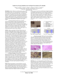 Tendon Gene Therapy Modulates the Local Repair Environment in