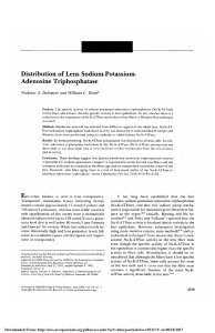 Distribution of lens sodium-potassium-adenosine