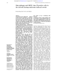 Macrophages and MHC class II positive cells in the choroid during