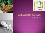 All about Sugar!