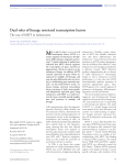 Dual roles of lineage restricted transcription factors