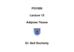 PG1006 Lecture 15 Adipose Tissue Dr. Neil Docherty