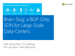 Brain-Slug: a BGP-Only SDN for Large-Scale Data