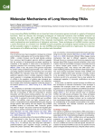 Molecular Mechanisms of Long Noncoding RNAs