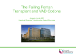 The Failing Fontan Transplant and VAD Options