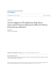 An Investigation of Endoplasmic Reticulum