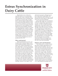 P2807 Estrus Synchronization in Dairy Cattle