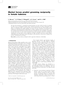 Market forces predict grooming reciprocity in female baboons