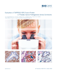 Evaluation of TMPRSS2-ERG Fusion Protein in