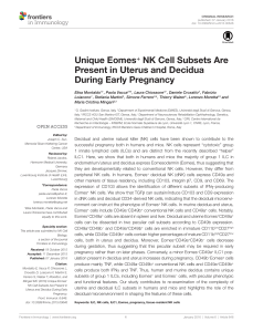 Unique Eomes+ NK Cell Subsets Are Present in Uterus
