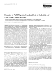 Dynamics of PhiX174 protein E-mediated lysis of