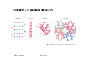 BPM§1.2_Protein Struktur.key