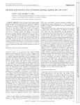 On form and function: does chromatin packing regulate the cell cycle?