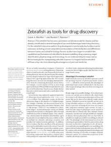 Zebrafish as tools for drug discovery