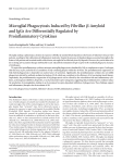 Microglial Phagocytosis Induced by FibrillarЯ