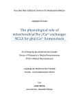 The physiological role of mitochondrial Na+/Ca2+ - diss.fu
