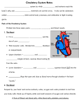 Parts of the Circulatory System