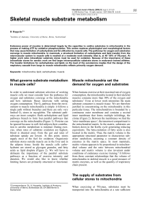 Skeletal muscle substrate metabolism