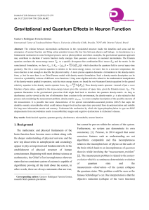 Gravitational and Quantum Effects in Neuron Function