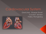 Cardiovascular System