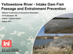 Yellowstone River - Intake Dam Fish Passage and