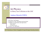 Jet Physics in Heavy Ion Collisions at the LHC