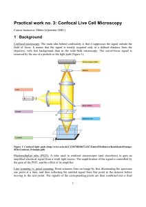 Confocal Live Cell Microscopy