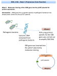 Pathogenic bacteria Genomic DNA extracted from