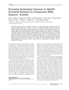 Surveying Saccharomyces Genomes to Identify Functional Elements