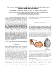 Non-invasive monitoring of cortical volume alterations in rat brains