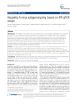 Hepatitis A virus subgenotyping based on RT