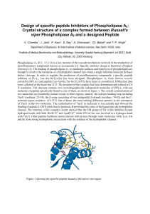 Design of specific peptide Inhibitors of Phospholipase A2