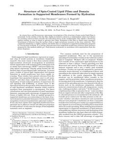 Structure of Spin-Coated Lipid Films and Domain Formation in