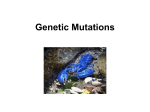 Genetic Mutations Mutation