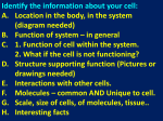 Identify the information about your cell