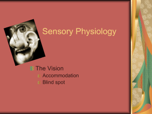 Sensory Physiology