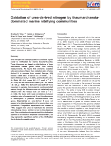 Oxidation of urea‐derived nitrogen by thaumarchaeota‐dominated