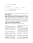 Expression of apoptosis-related proteins bcl