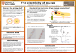 Mucus: the sticky stuff Do electrical currents drive mucus production