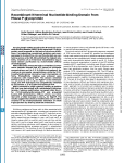 Recombinant N-terminal Nucleotide