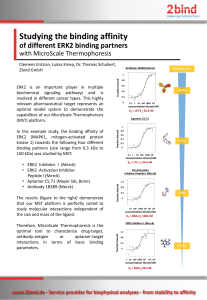 Studying the binding affinity