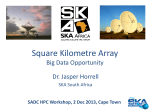 the square kilometre array